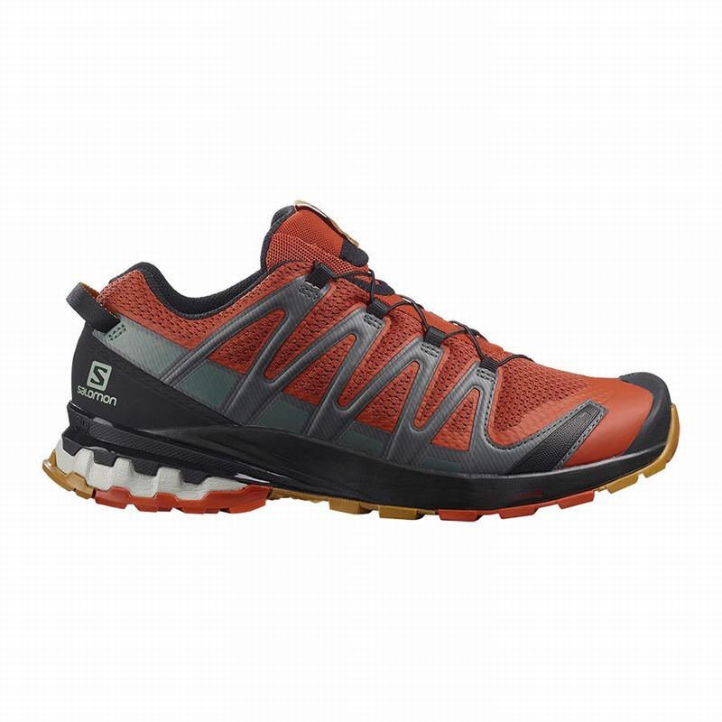 Zapatillas Trail Running Salomon Hombre Negras - Salomon Argentina XA PRO 3D V8 ,487130-YNF